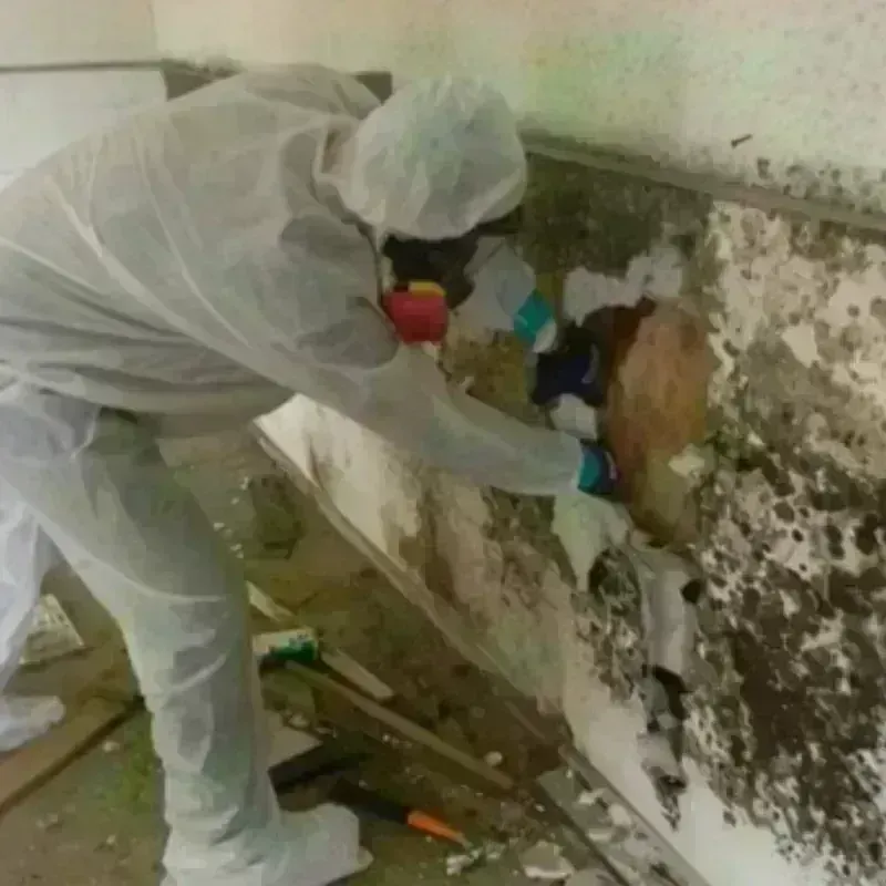 Mold Remediation and Removal in Two Rivers, WI