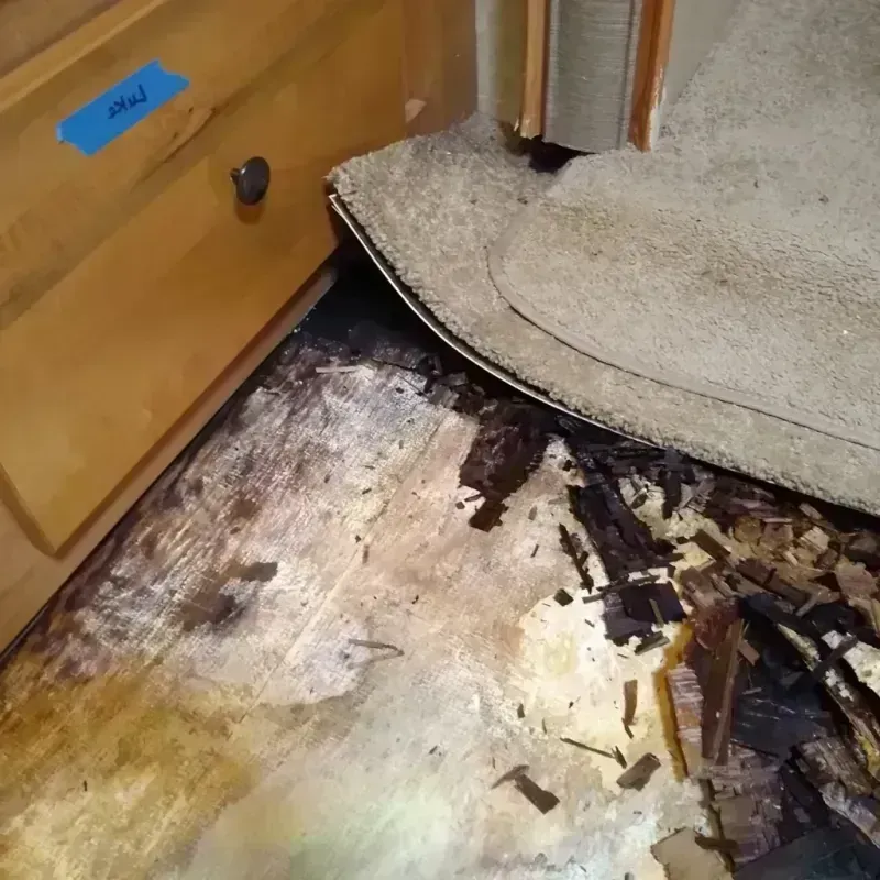 Wood Floor Water Damage in Two Rivers, WI